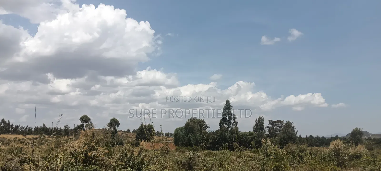 KIKUYU Kamangu Nachu