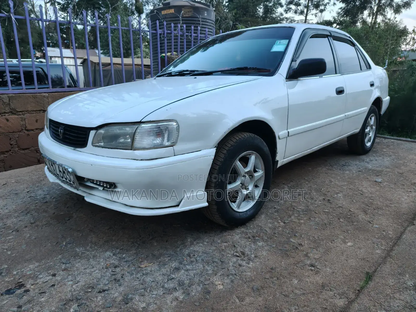 Toyota Corolla 2000 White