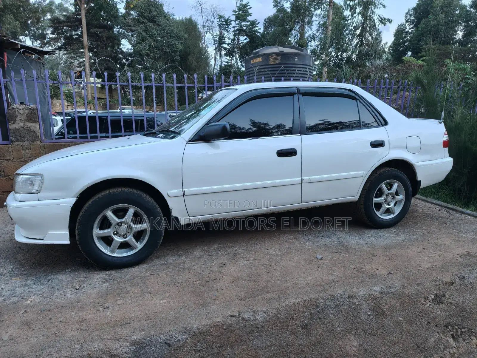 Toyota Corolla 2000 White