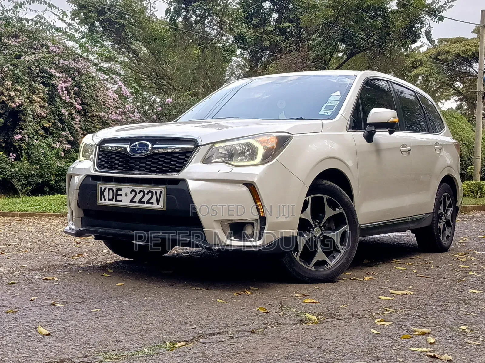 Subaru Forester 2014 White