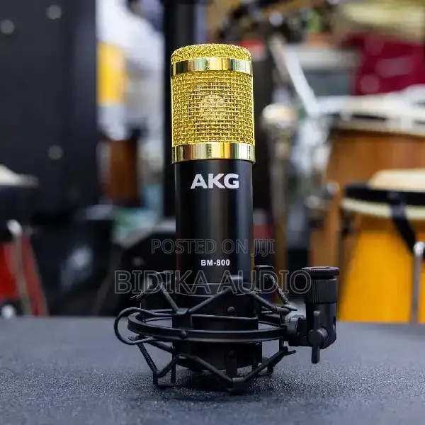 AKG BM-800 Professional Condenser Microphone