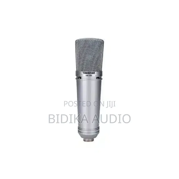 Takstar SM-10B Condenser Microphone