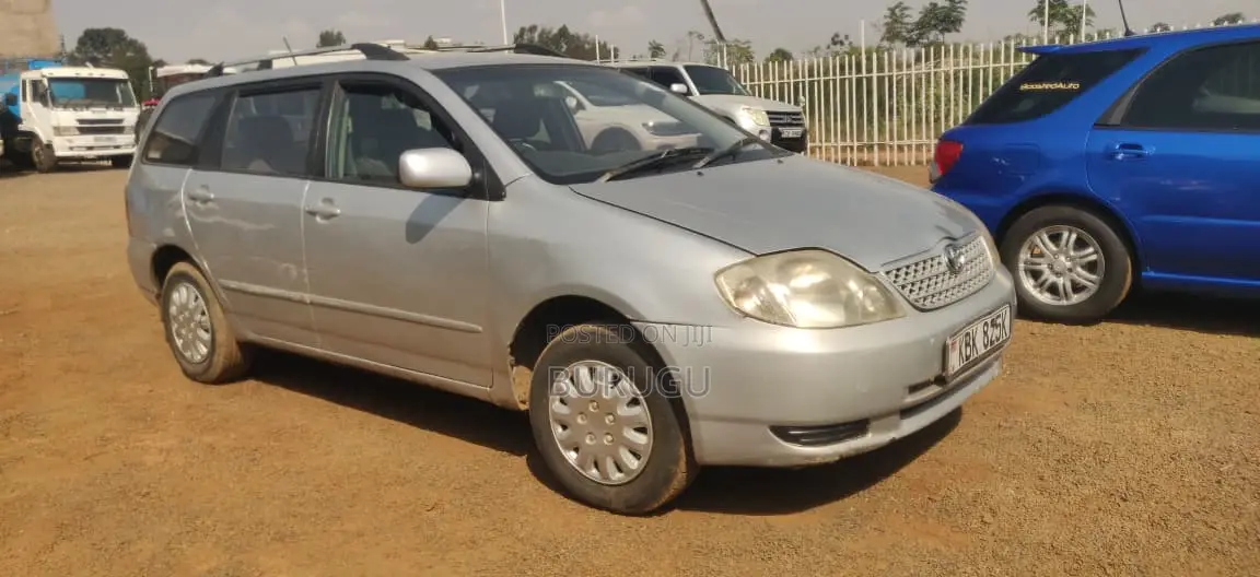 Toyota Corolla Fielder 2003 Silver
