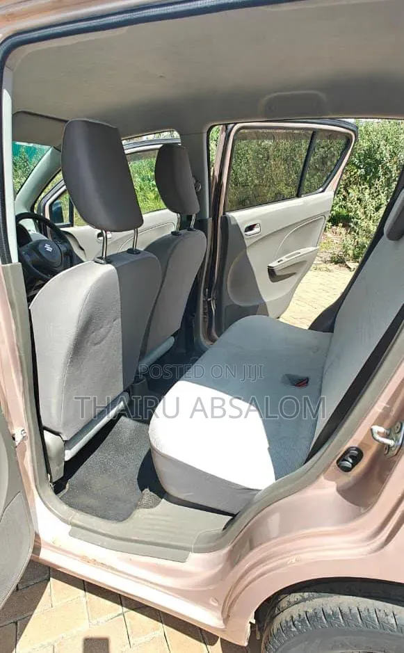 Suzuki Alto 2014 Gold