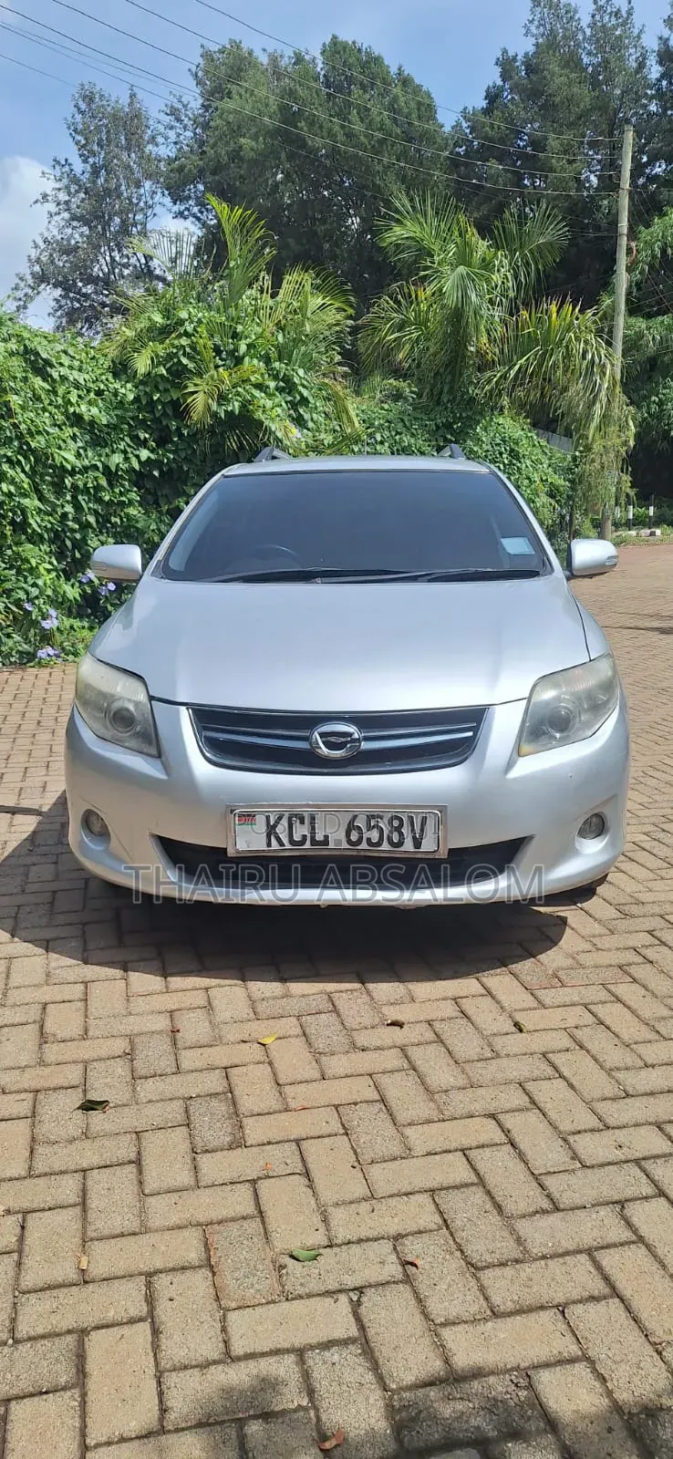 Toyota Corolla Fielder 2010 Silver