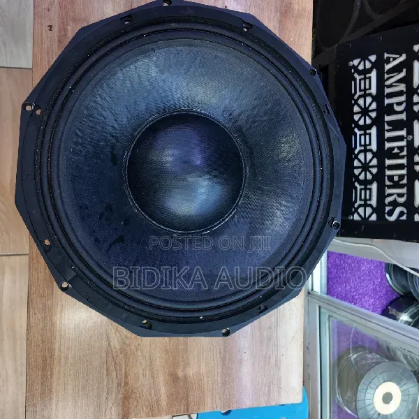 Derwel PD1880H 18-Inch Naked Speaker – 1800W 8 Ohms