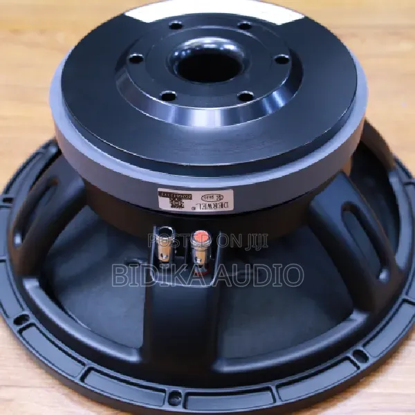 Derwel 12DL202 12-Inch Professional Loudspeaker