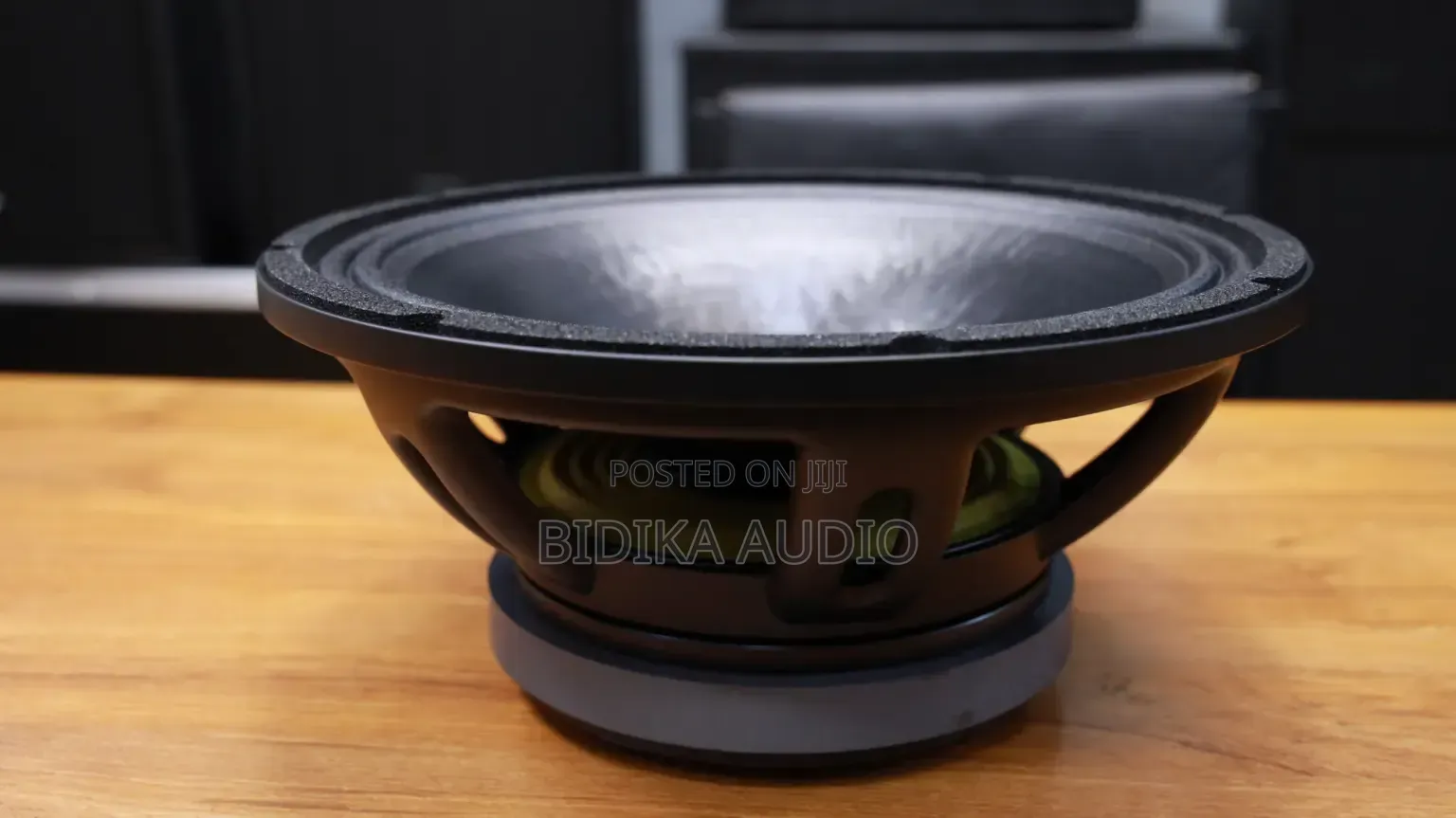 Derwel 12DL202 12-Inch Professional Loudspeaker