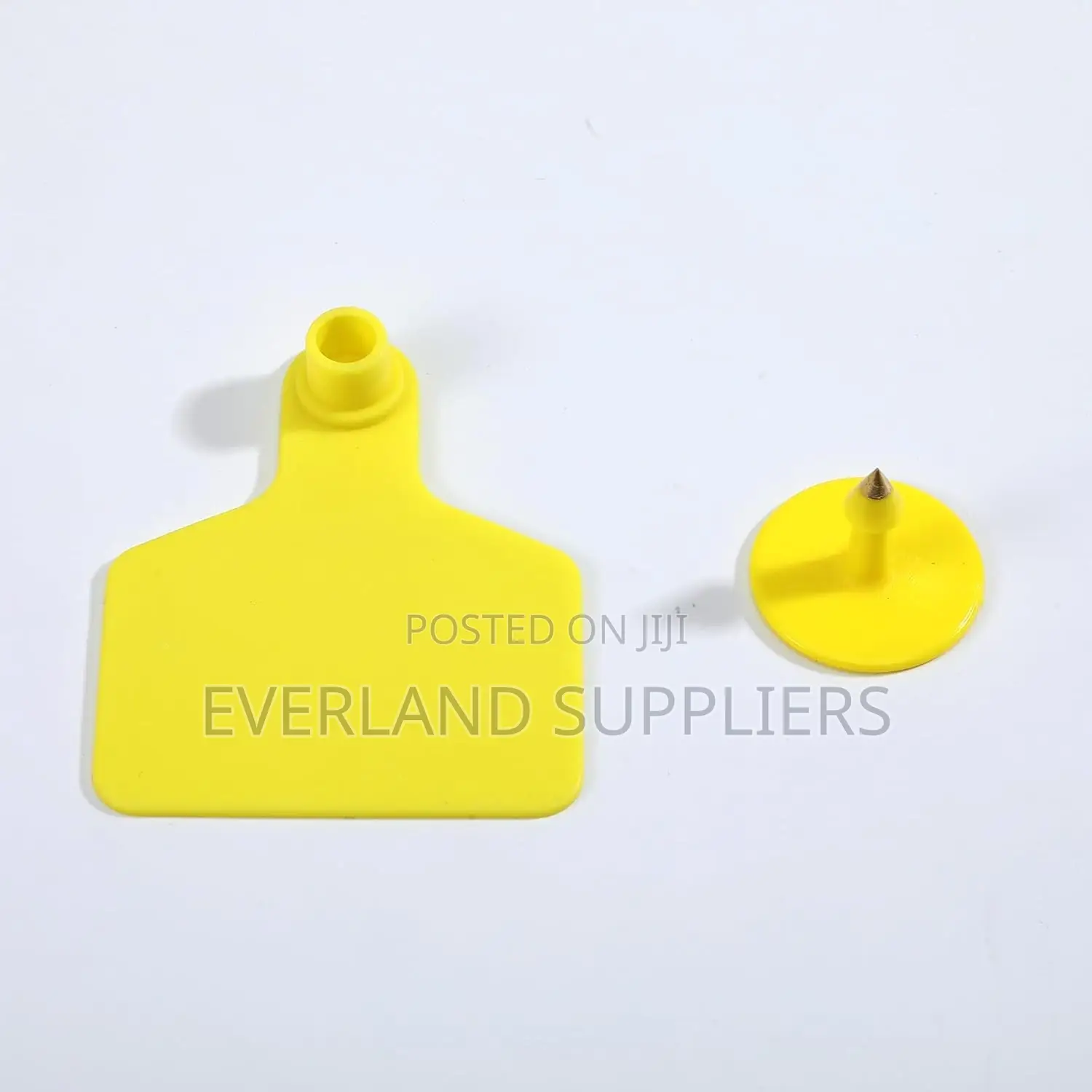 Large Plain Ear Tags for Character Identification