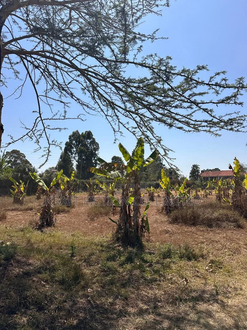 Prime 1-Acre Land for Sale in Karen | Silanga Road