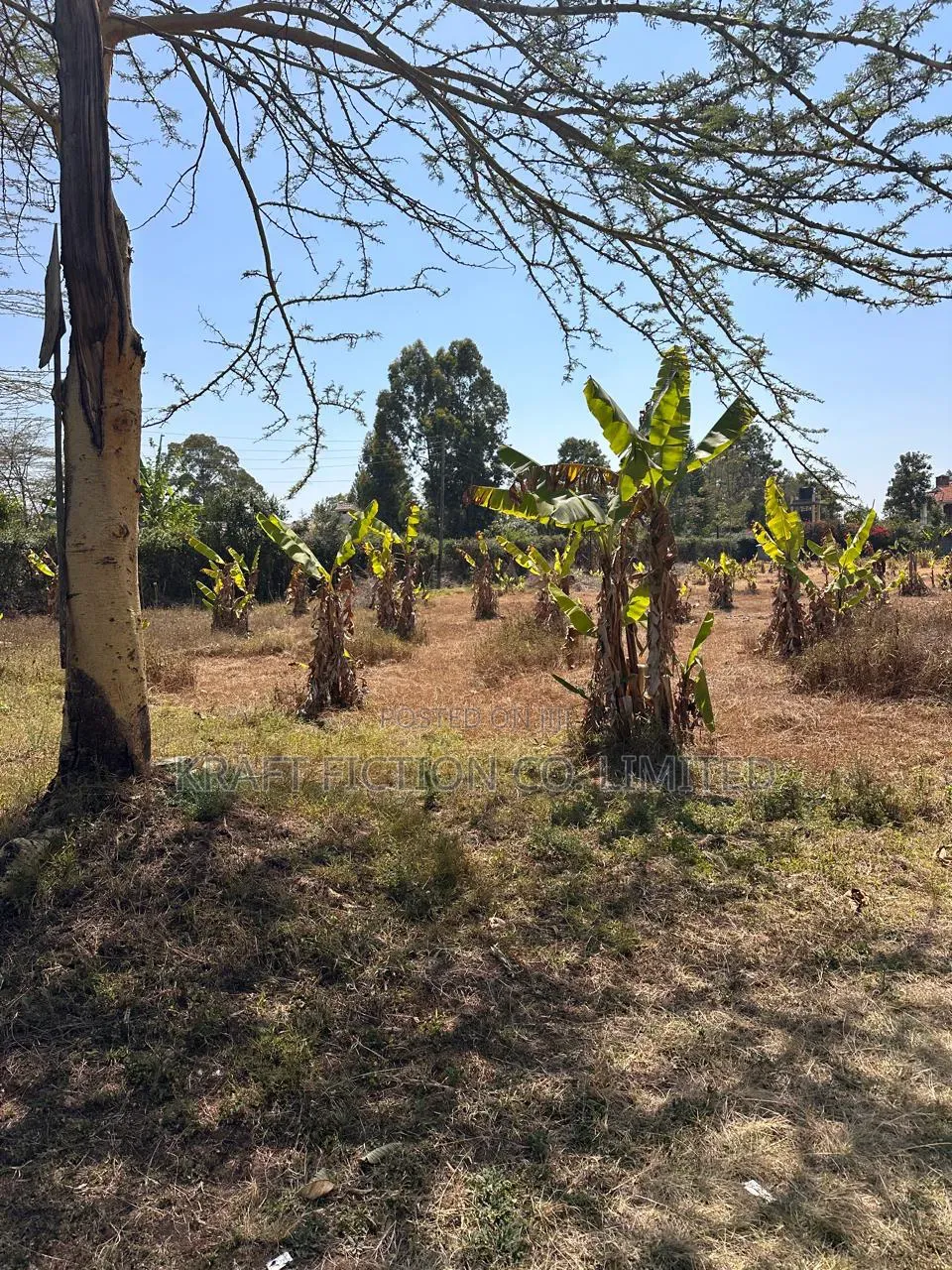 Prime 1-Acre Land for Sale in Karen | Silanga Road