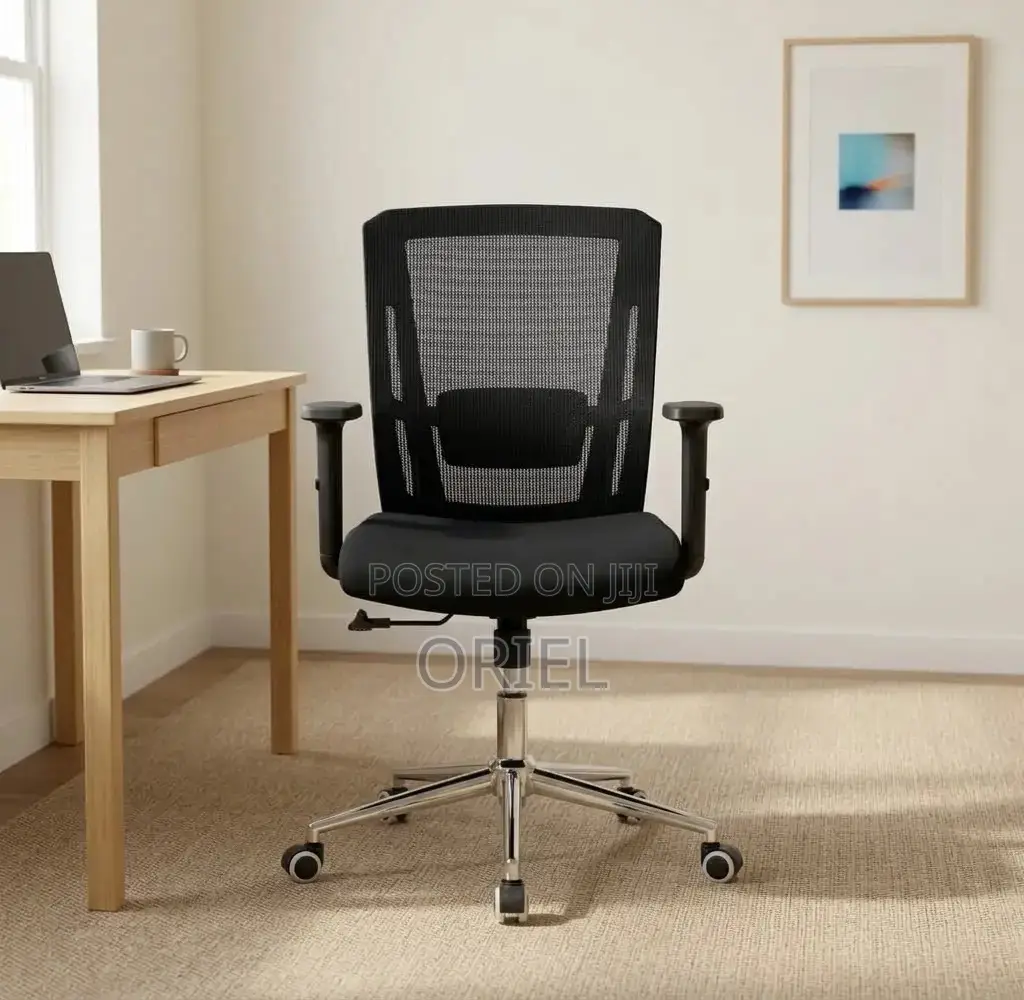 Mid Back Orthopedic Mesh Chair : Modern Swivel Chair