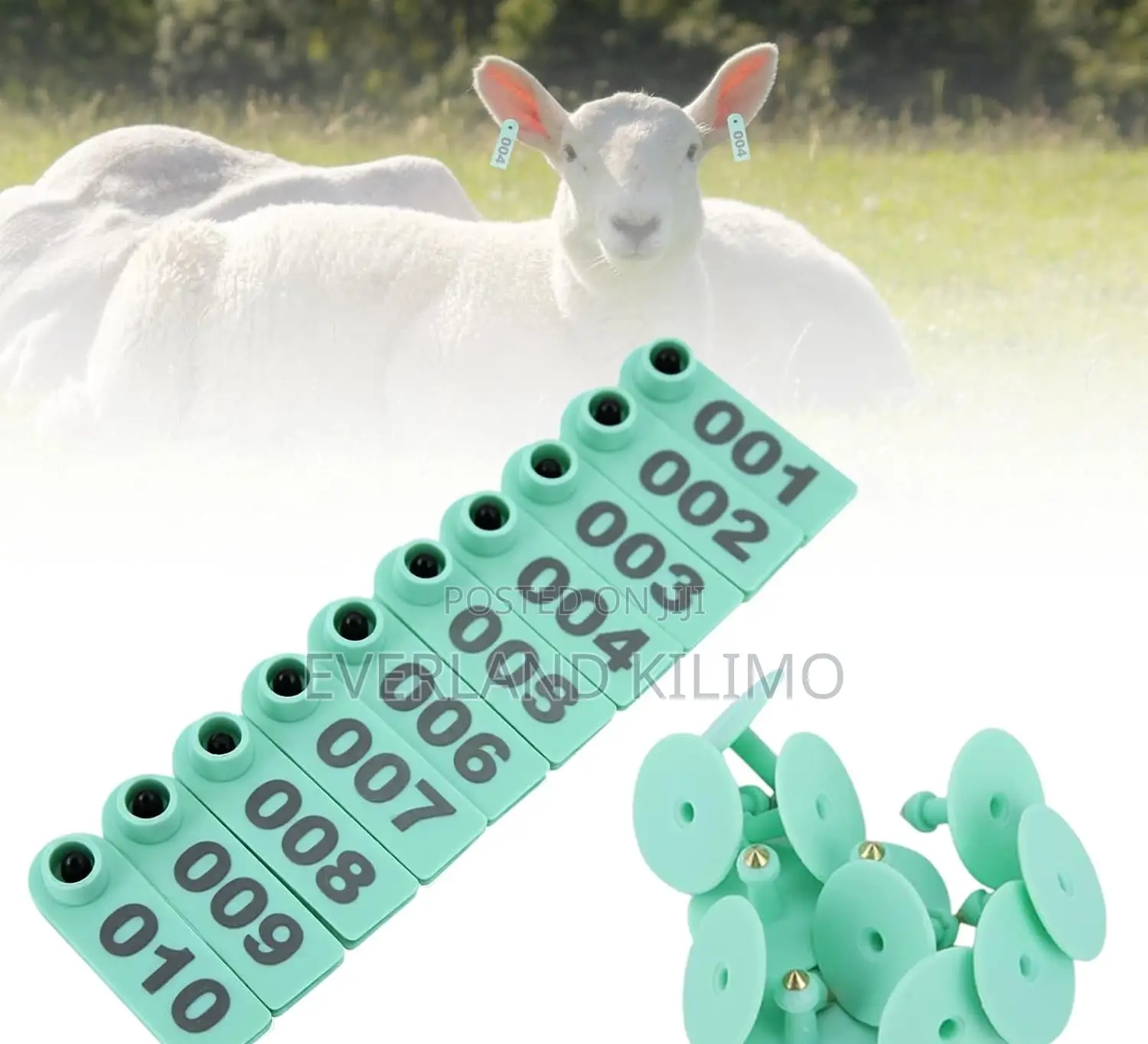 Farm Numbered Display Slim Ear Tags for Sheeps
