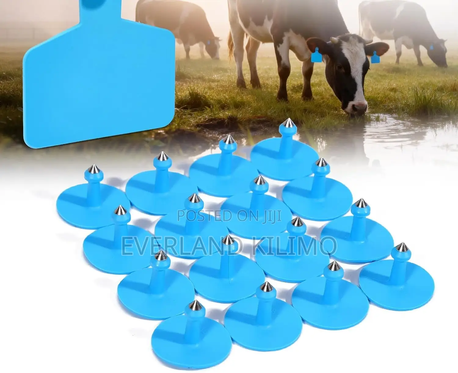 Farm- Medium Livestock Ear Tags - Plain