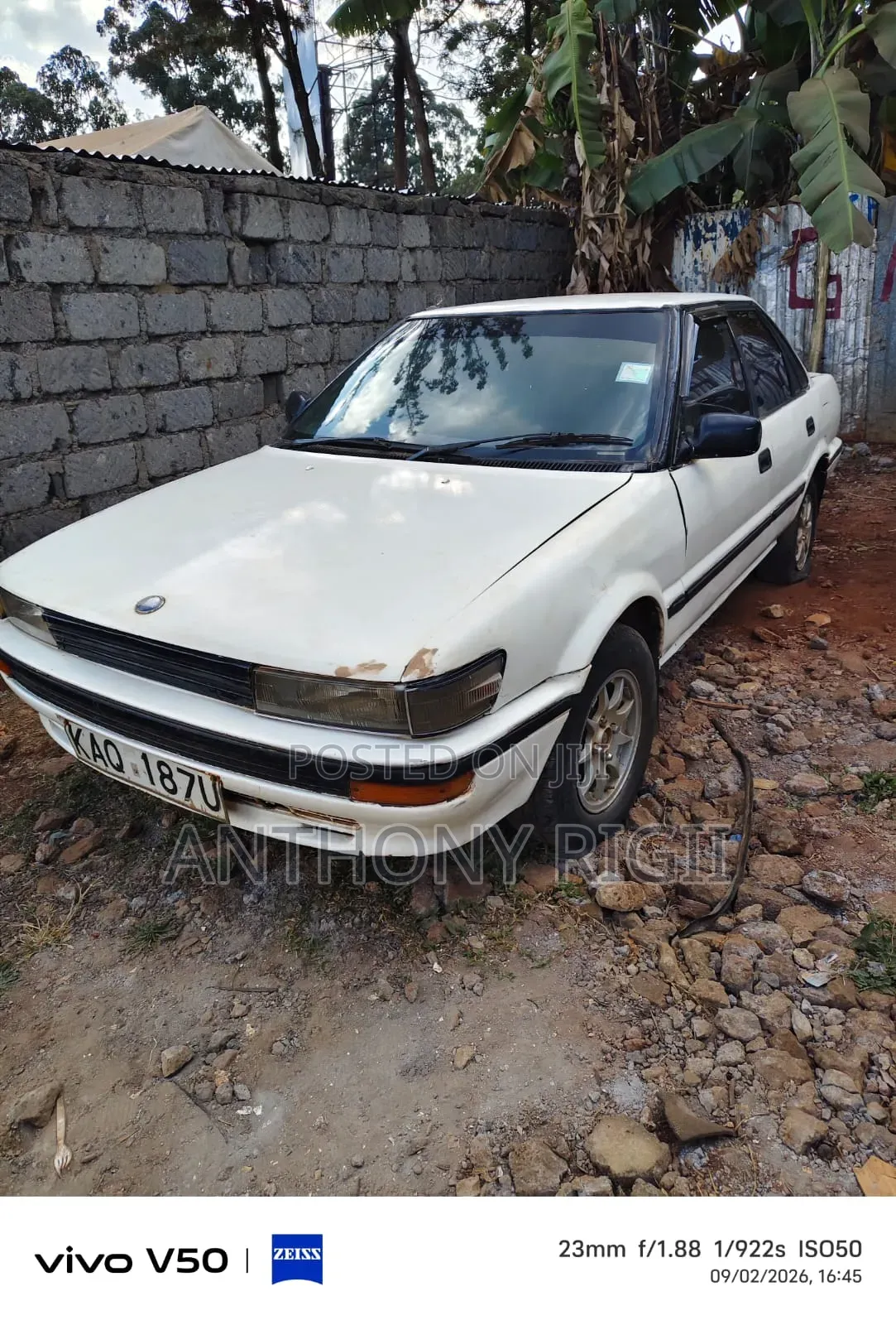 Toyota Corolla 1995 White