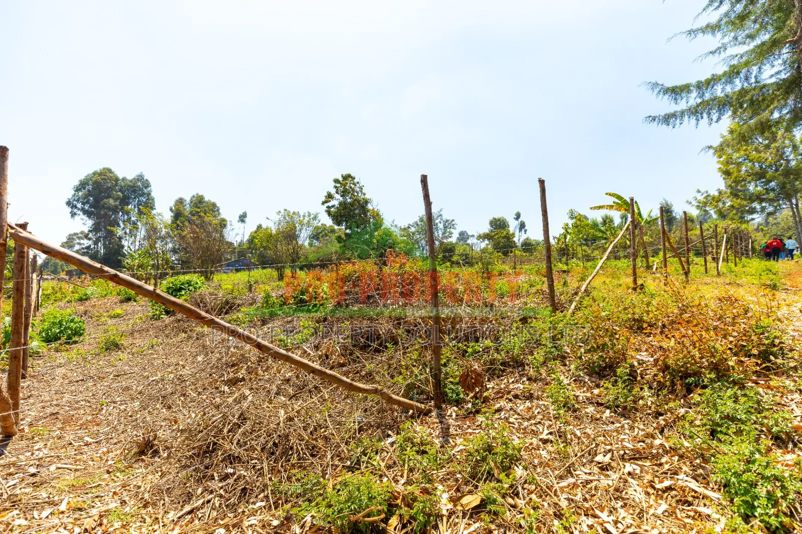 Residential Plots for Sale in Kikuyu, Chungamali