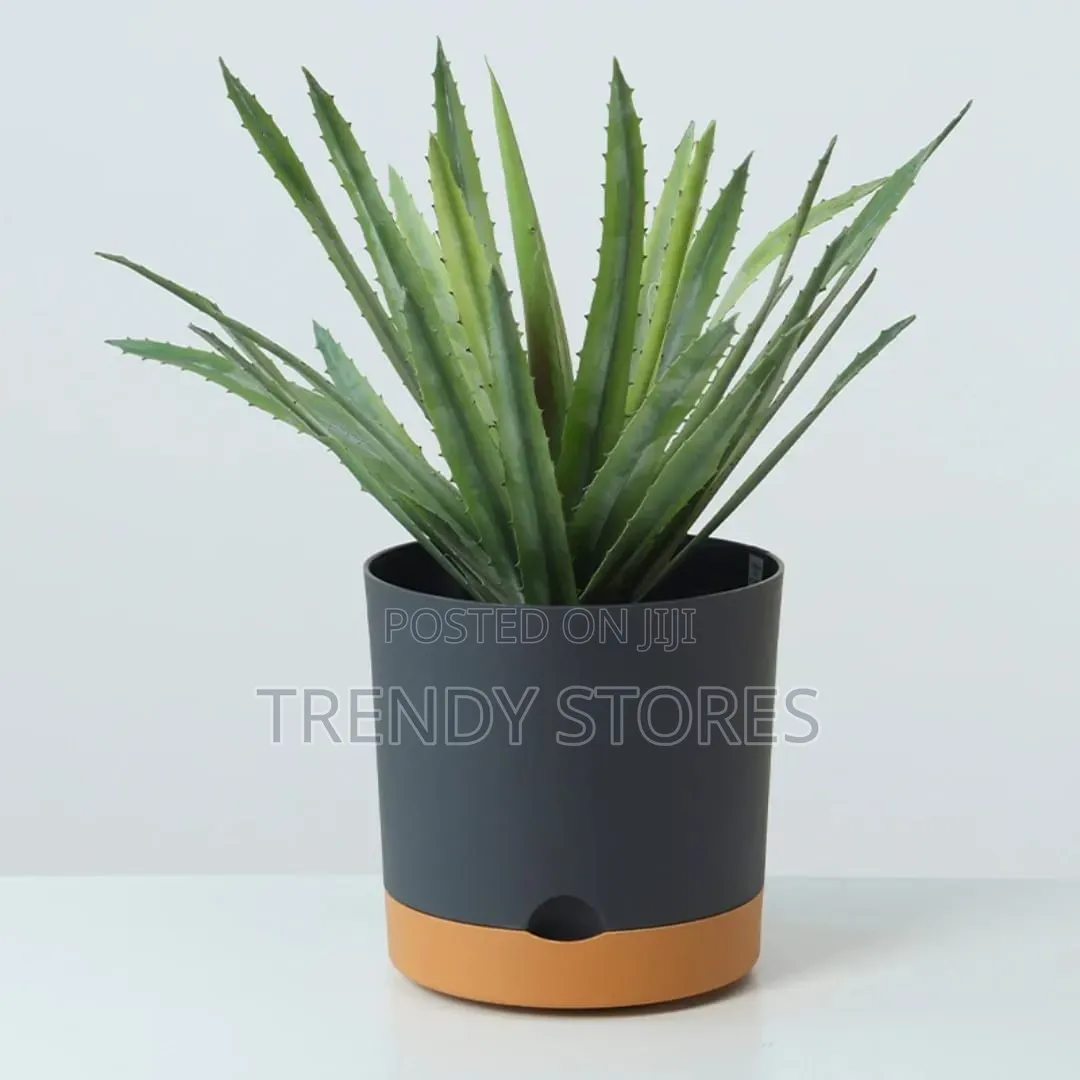 Bottom Watering Pots