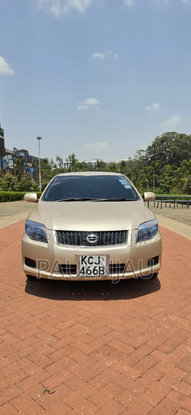 Toyota Axio 2010