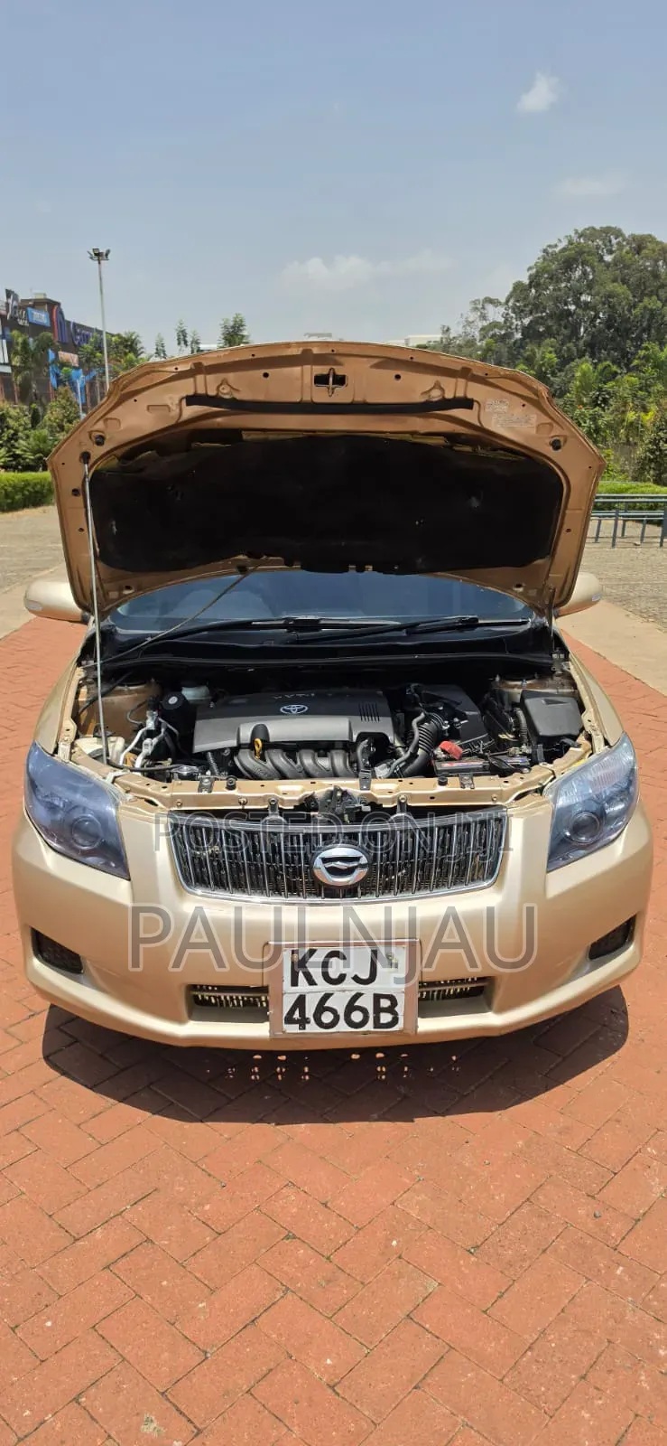 Toyota Axio 2010
