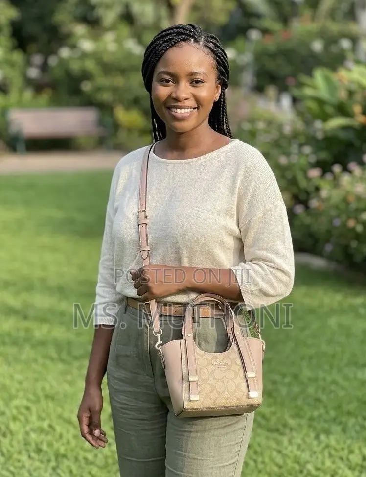 Coach Andrea Mini Carryall
