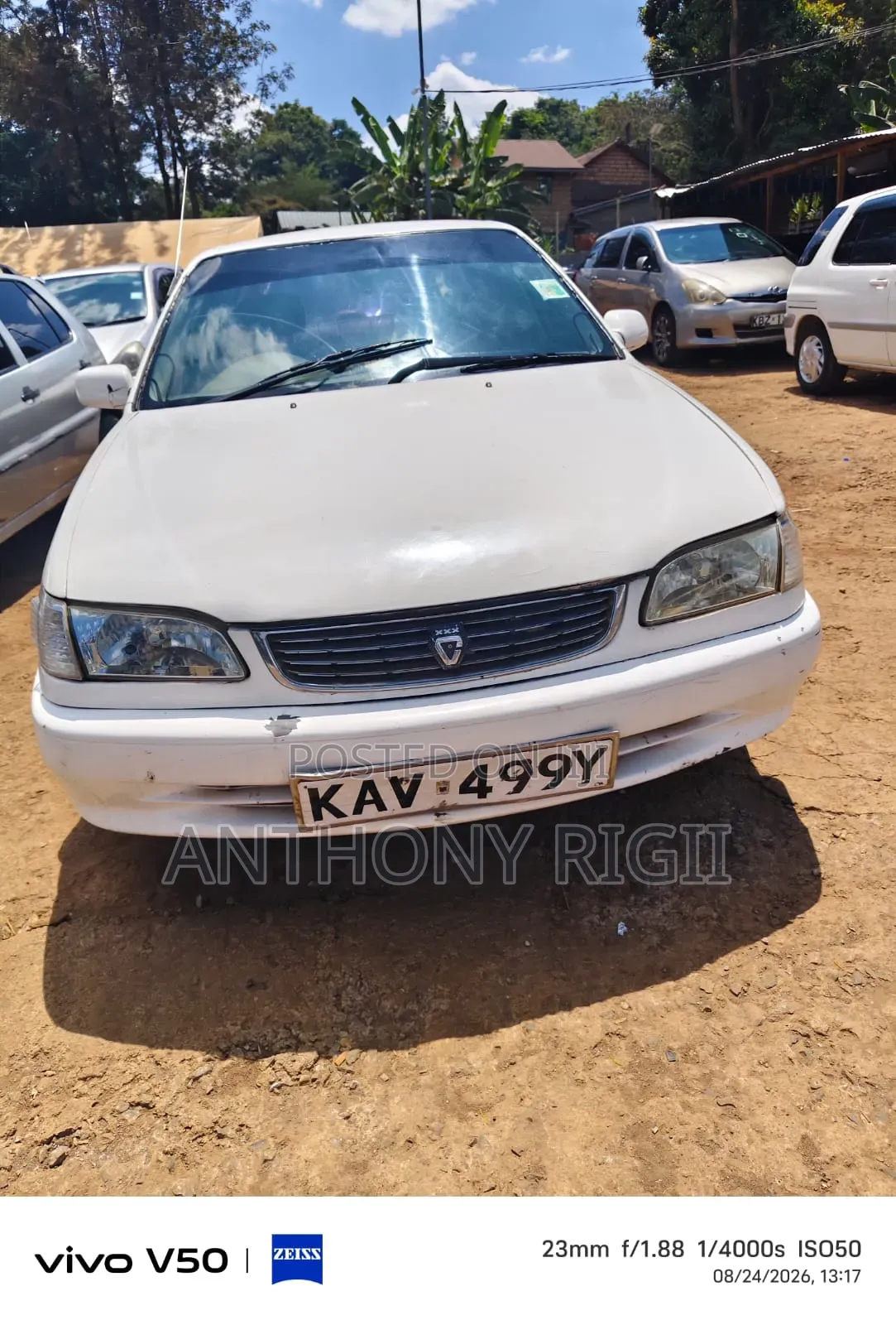 Toyota Corolla 2000 White