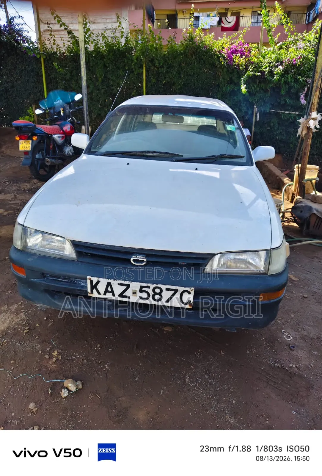 Toyota Corolla 1999 White