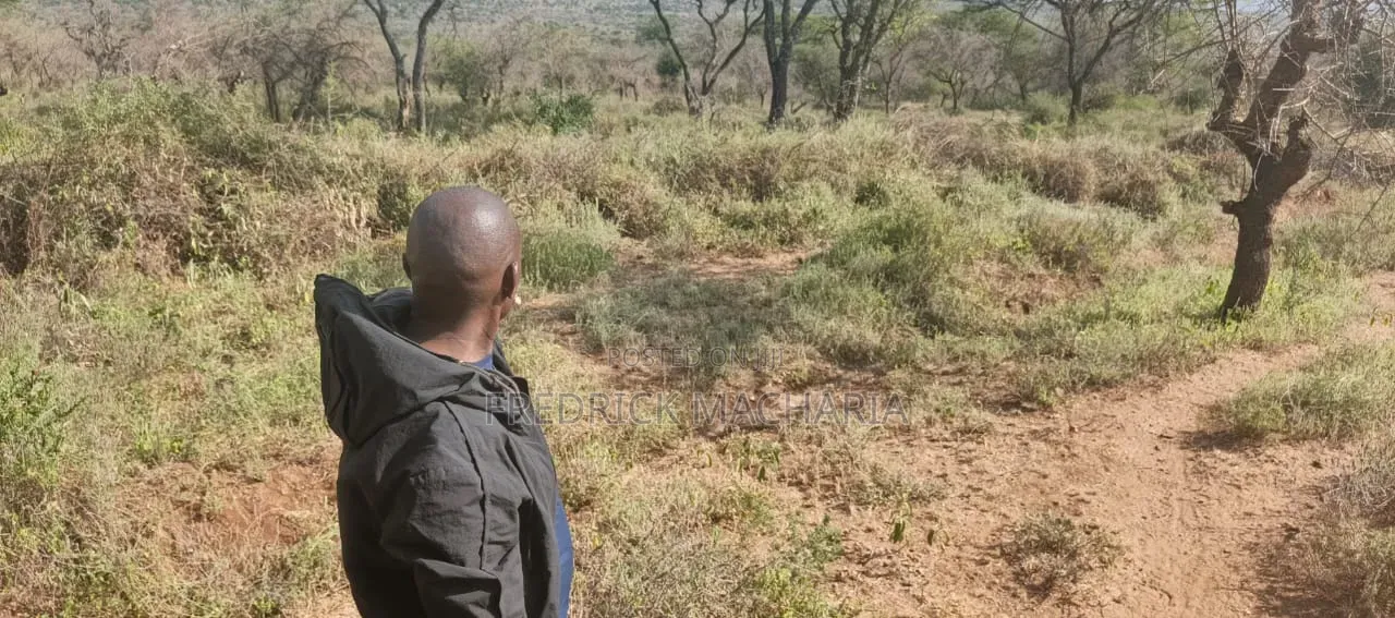 515 Acres for Sale at Bisil
