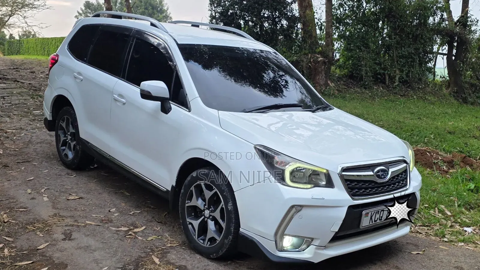 Subaru Forester 2013 Pearl