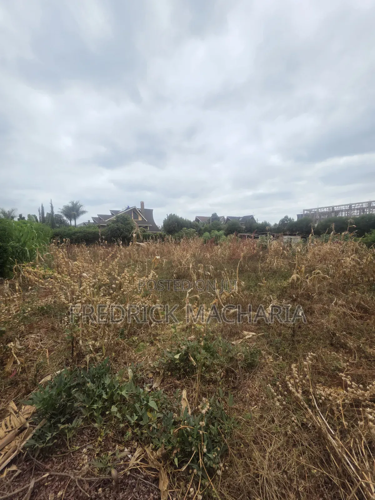Quarter Acre Residential Plot for Sale at Daykio Bustani