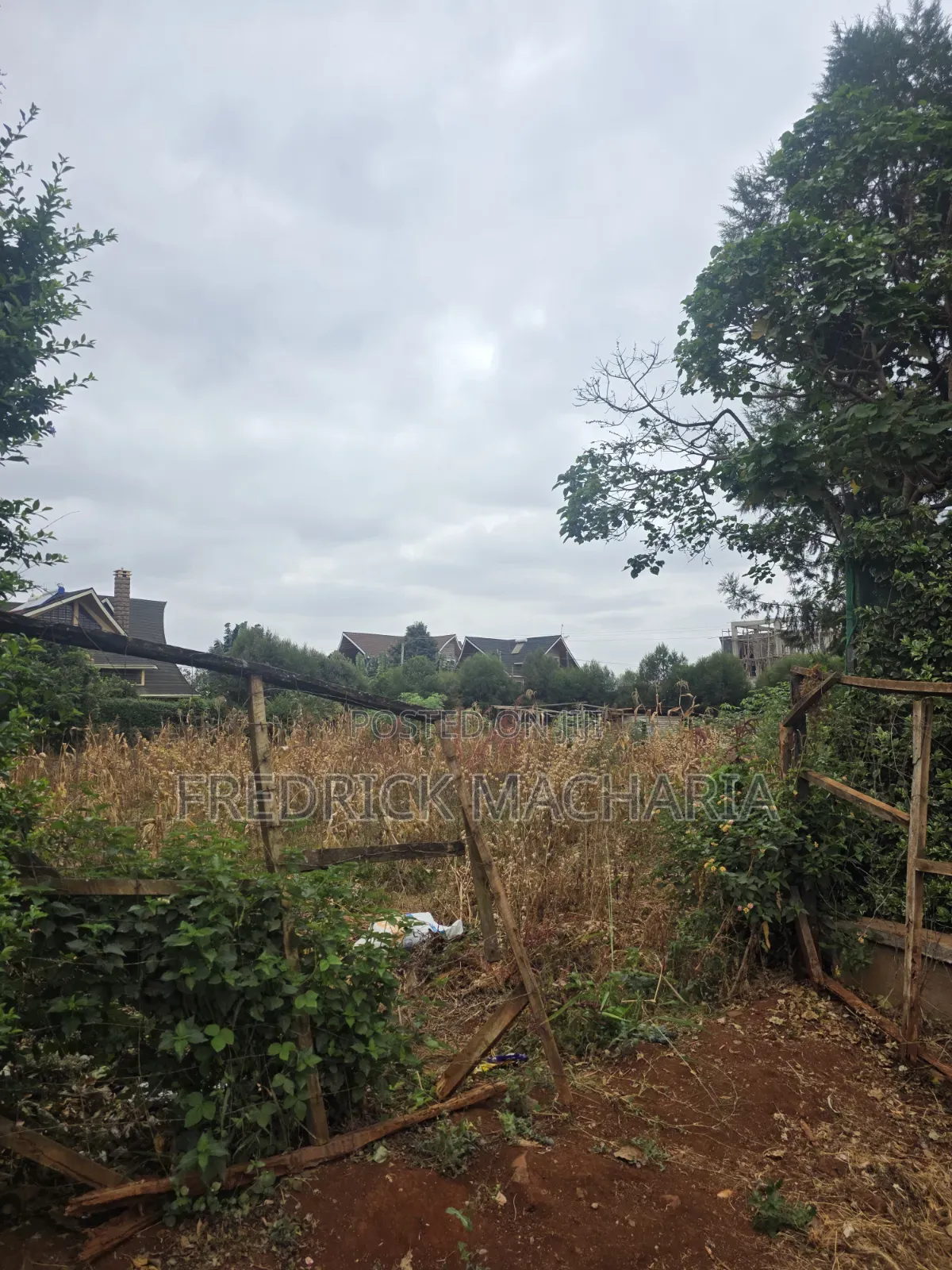 Quarter Acre Residential Plot for Sale at Daykio Bustani