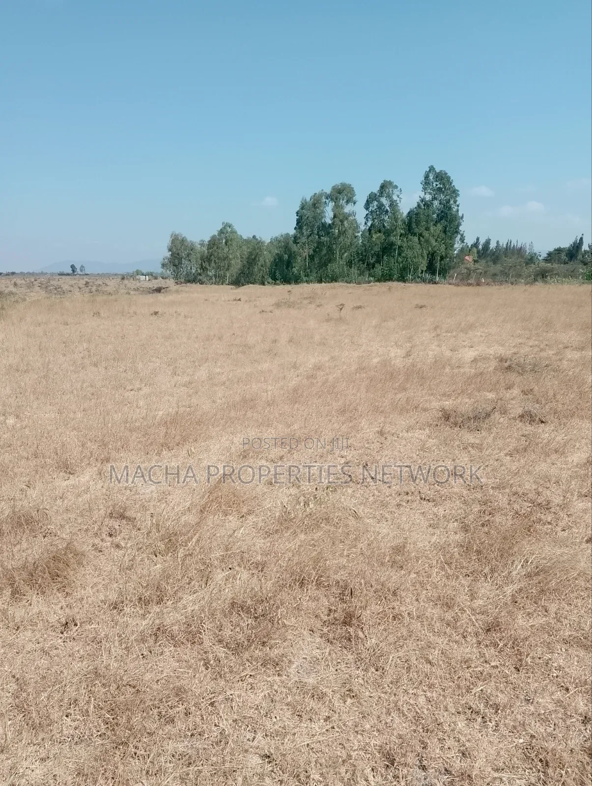 Kantafu 2 Acres Quick Sale Price.2.7M Per Acre.