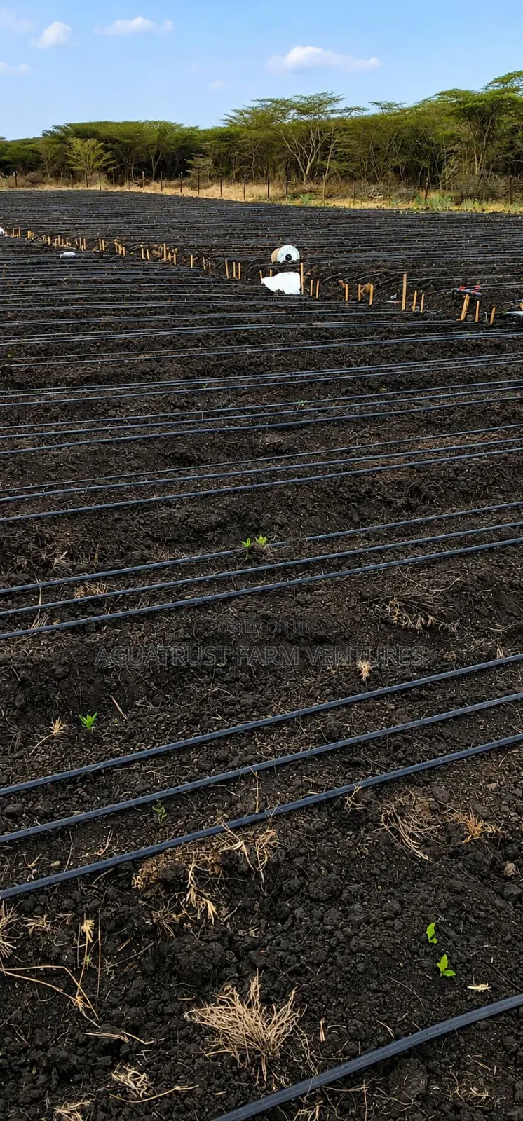 Drip Irrigation Systems