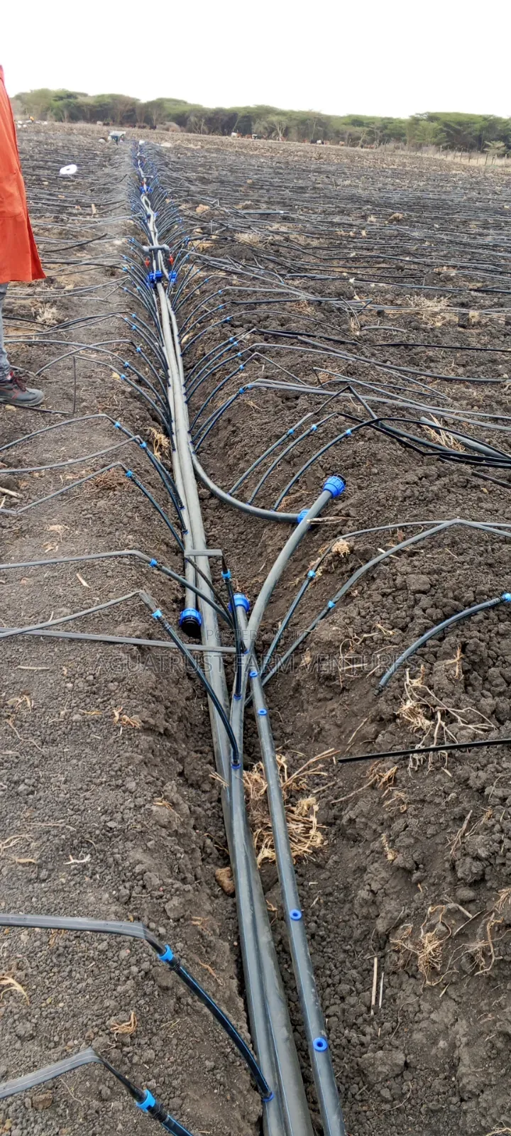 Drip Irrigation Systems