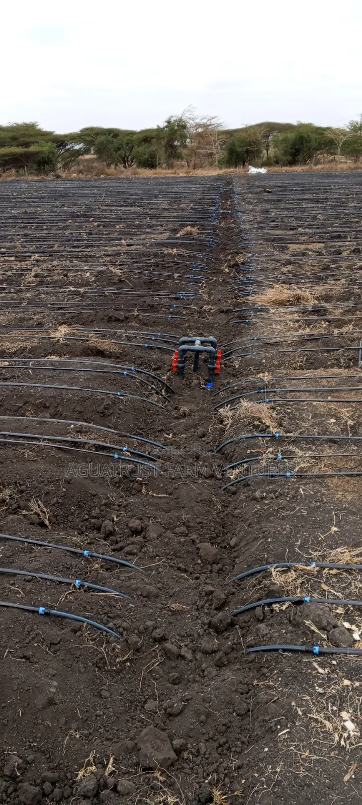 Drip Irrigation Systems