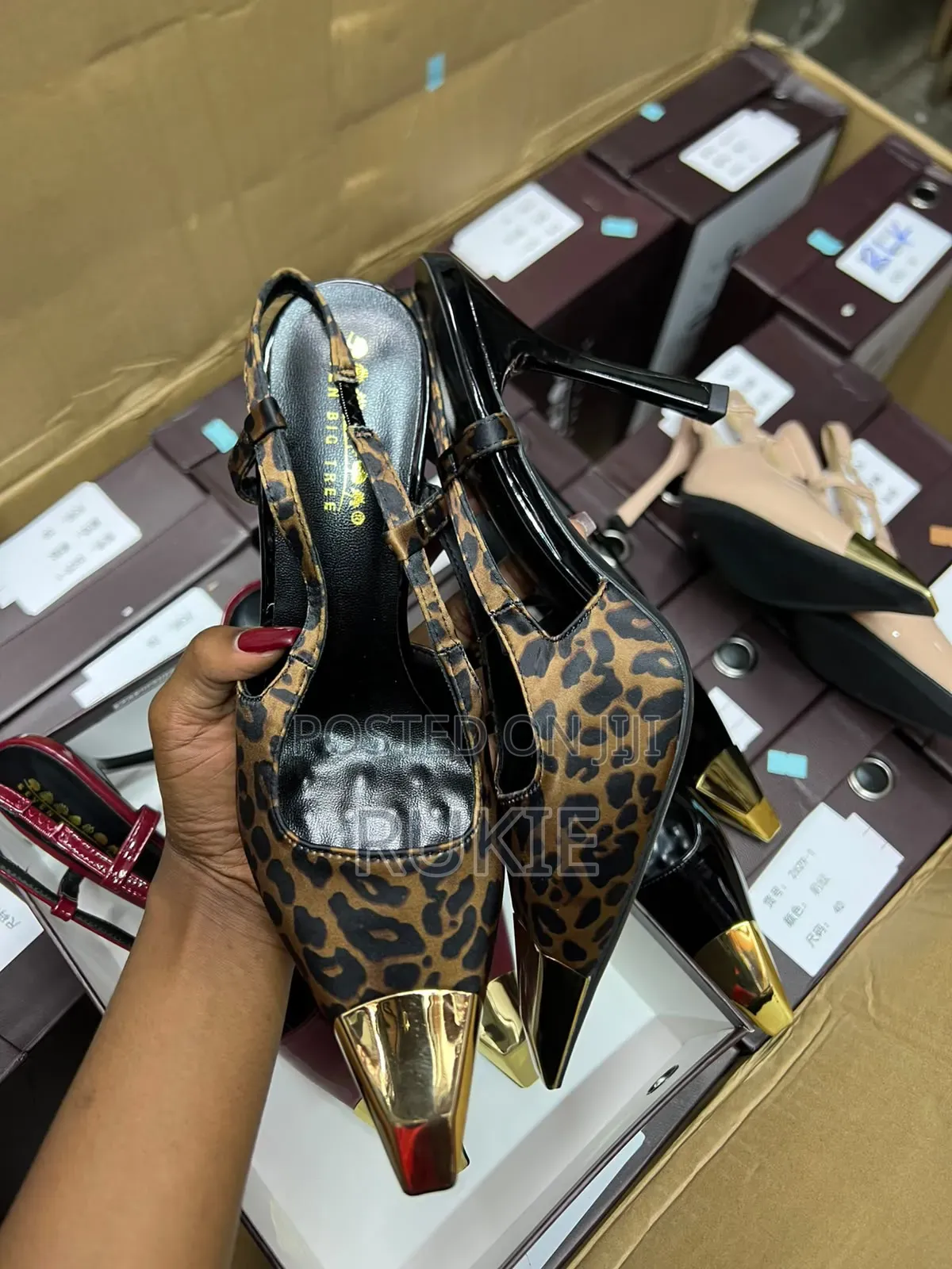 Bigtree Pointed Heel