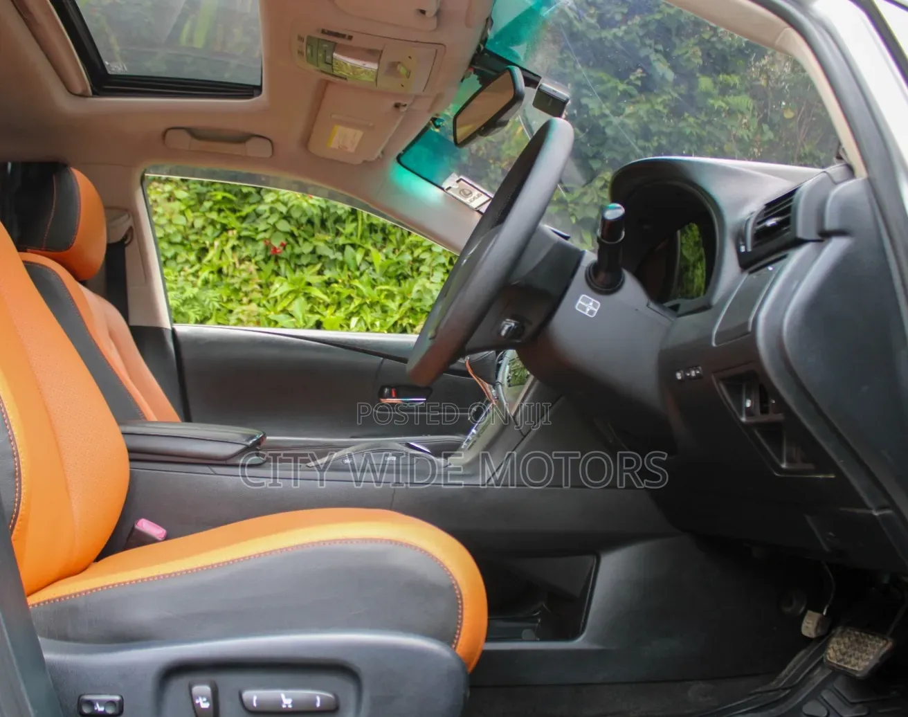 Lexus RX 2010 Silver