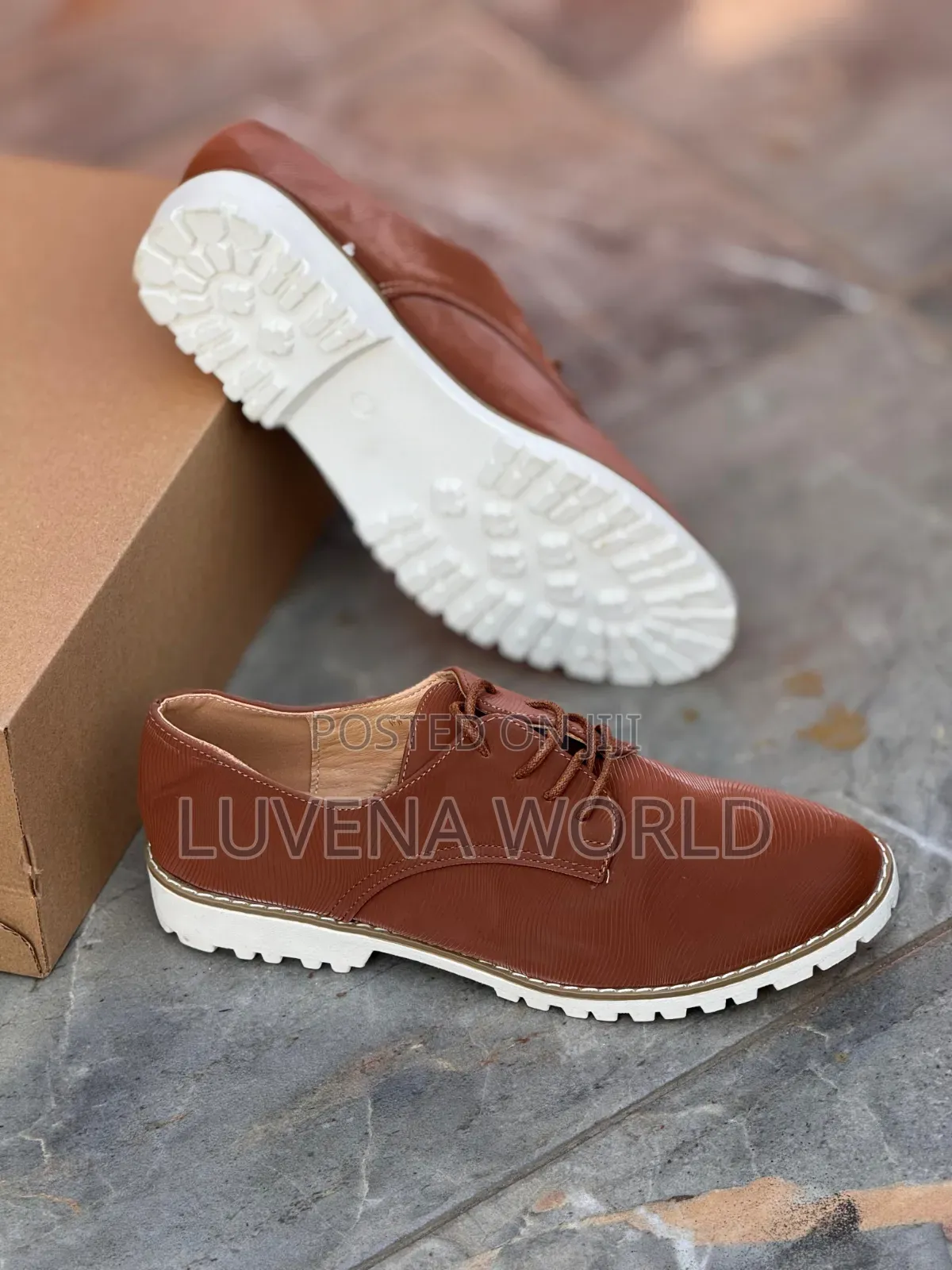 Brown Roberto Carvalli Brogues