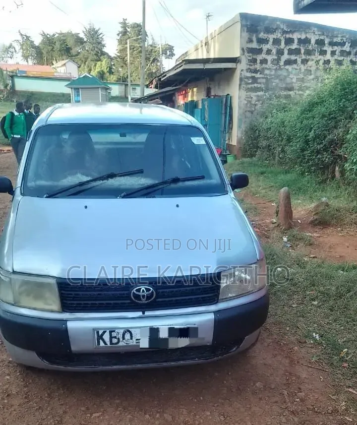 Toyota Probox 1.5 DX 2WD 2007 Silver