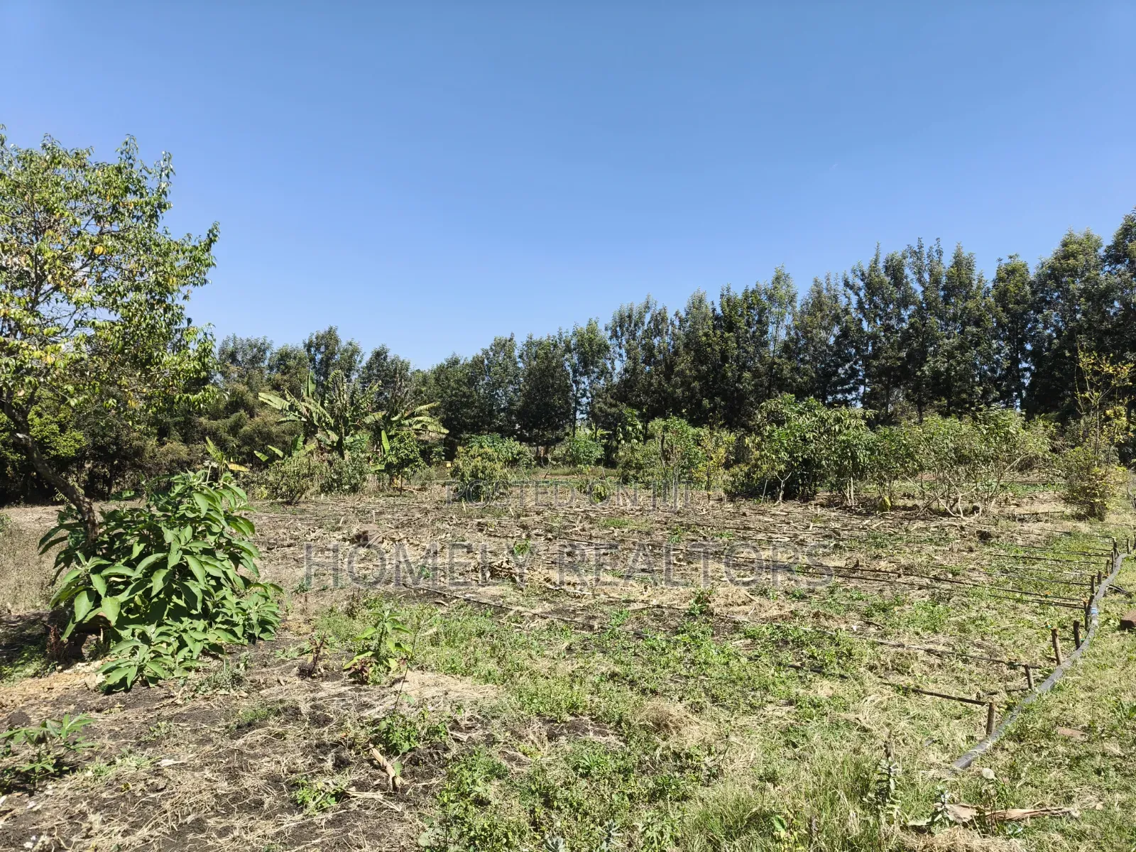 One Acre Piece of Land for Sale in Ngong, Ol Keri Near the Tarmac