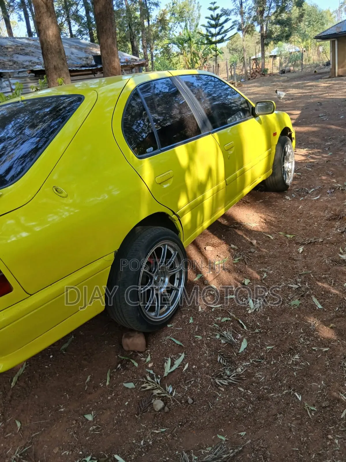 Nissan Primera 2004 Yellow