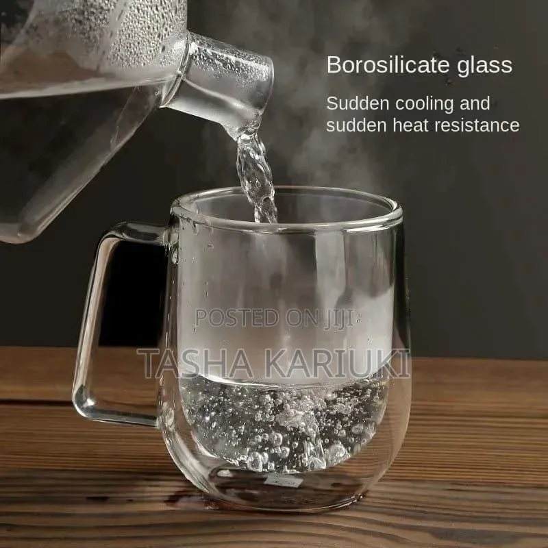 Borosilicate Double Wall Mug 350 Ml