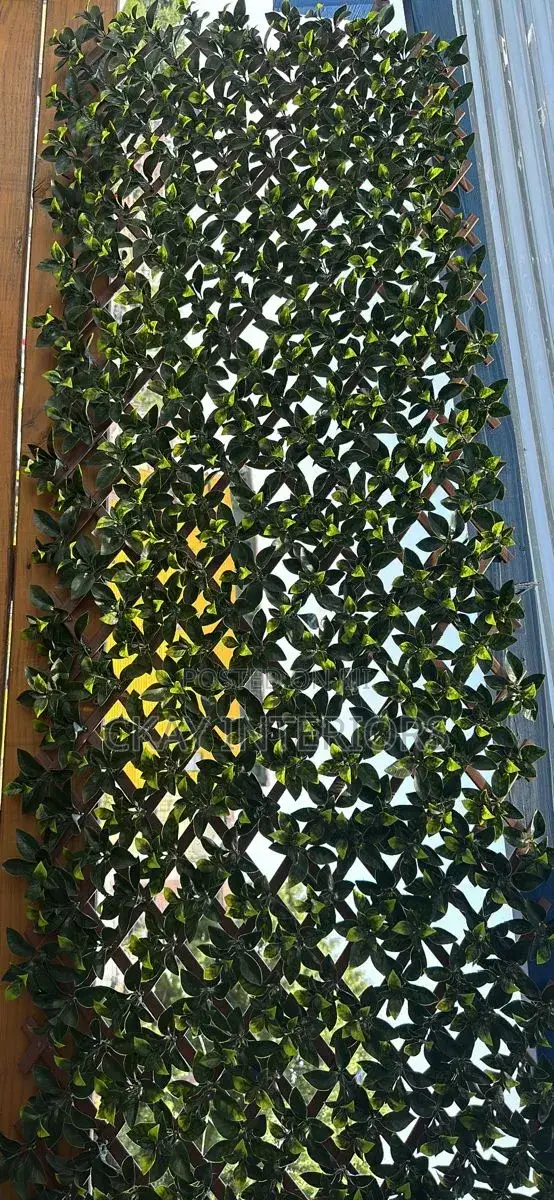 Beautifully Made With Artificial Wood at the Back With Artificialfence