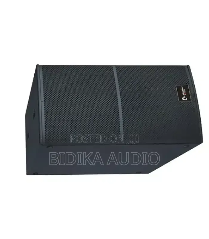 Thunder Sound TS228 18-Inch Subwoofer