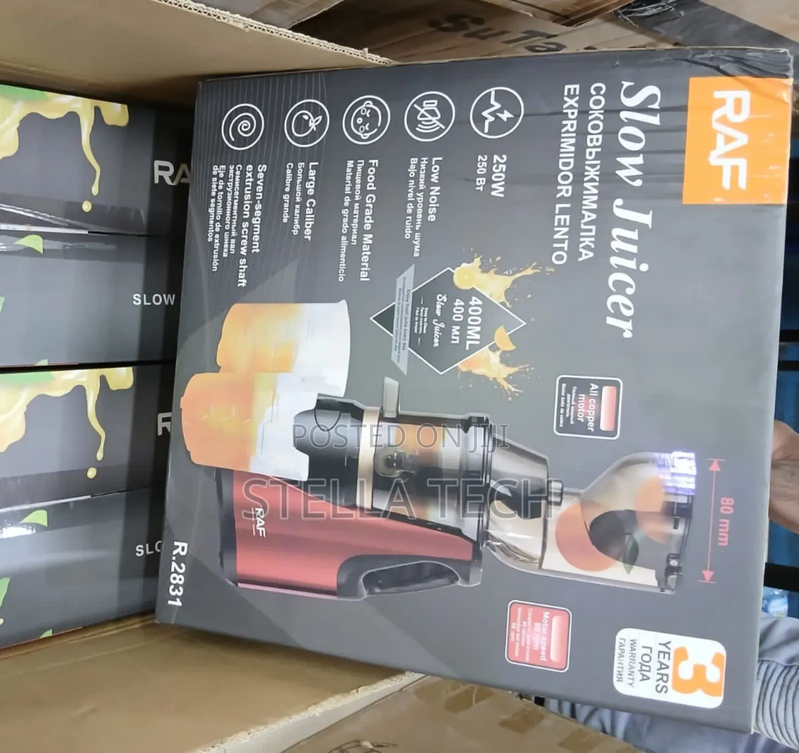 Raf Electric Slow Juicer