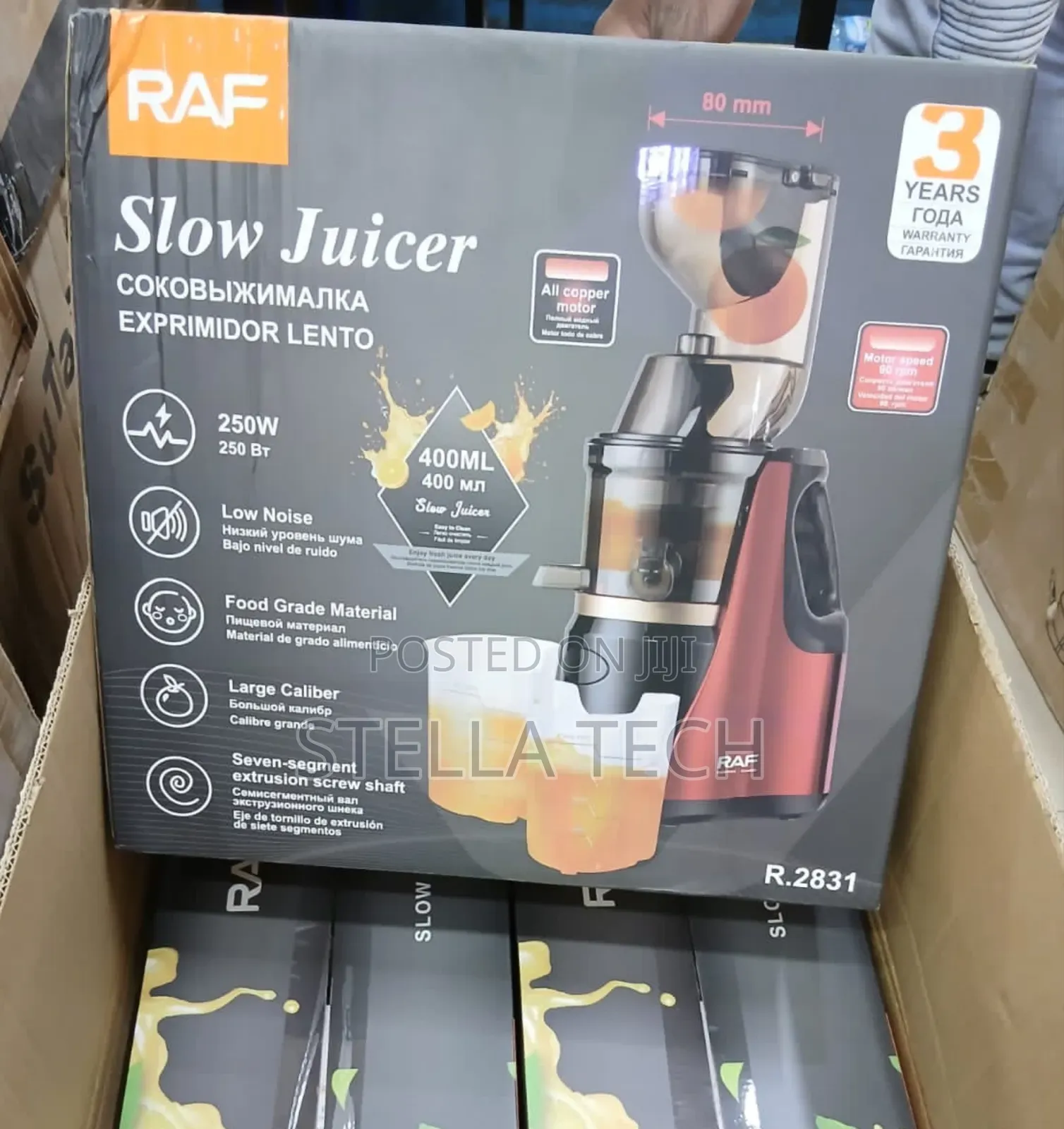 Raf Electric Slow Juicer