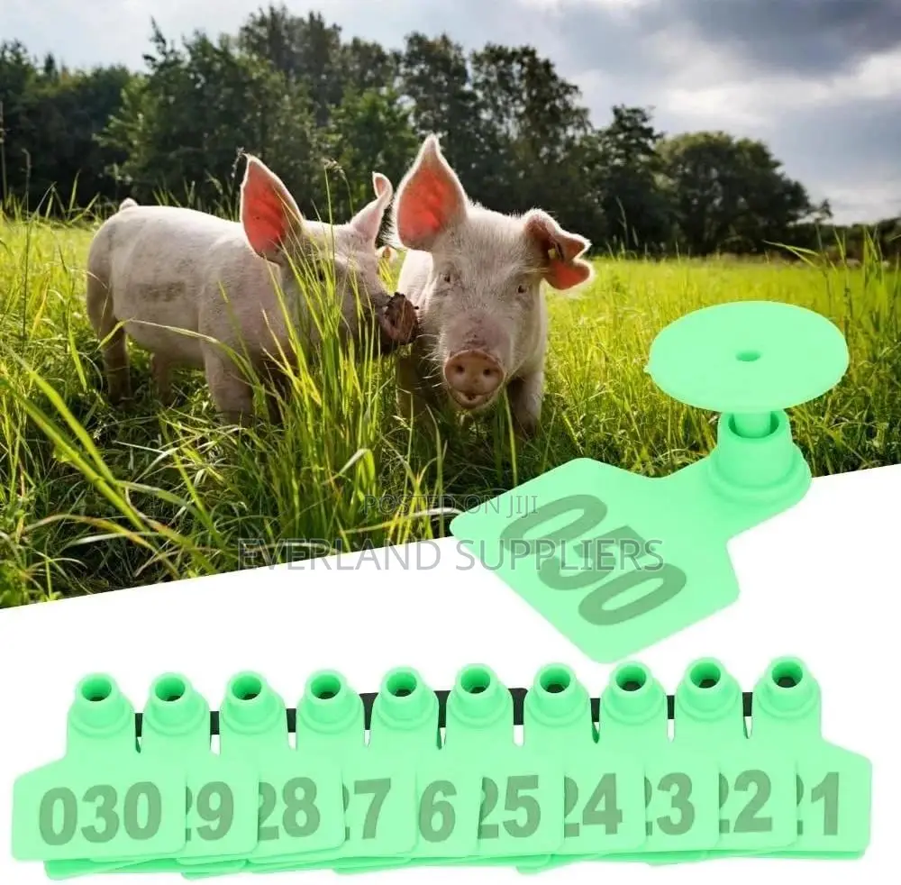 Small Ear Tags for Laser Marking for Identification - Numbered