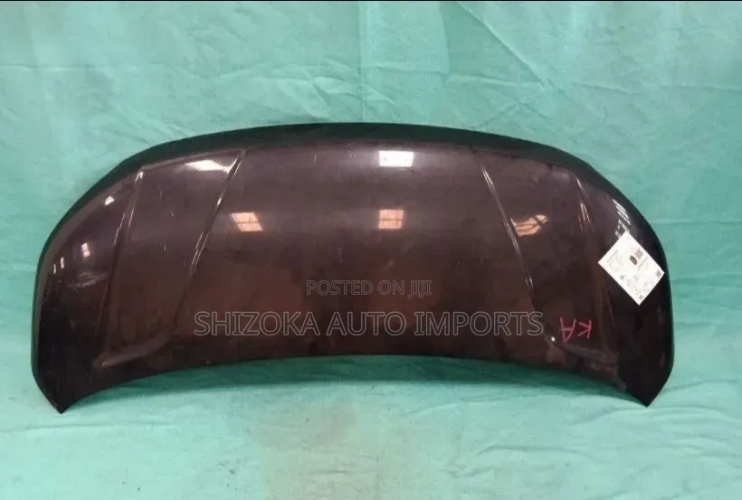 Bonnet Suzuki Solio Bandit 2015
