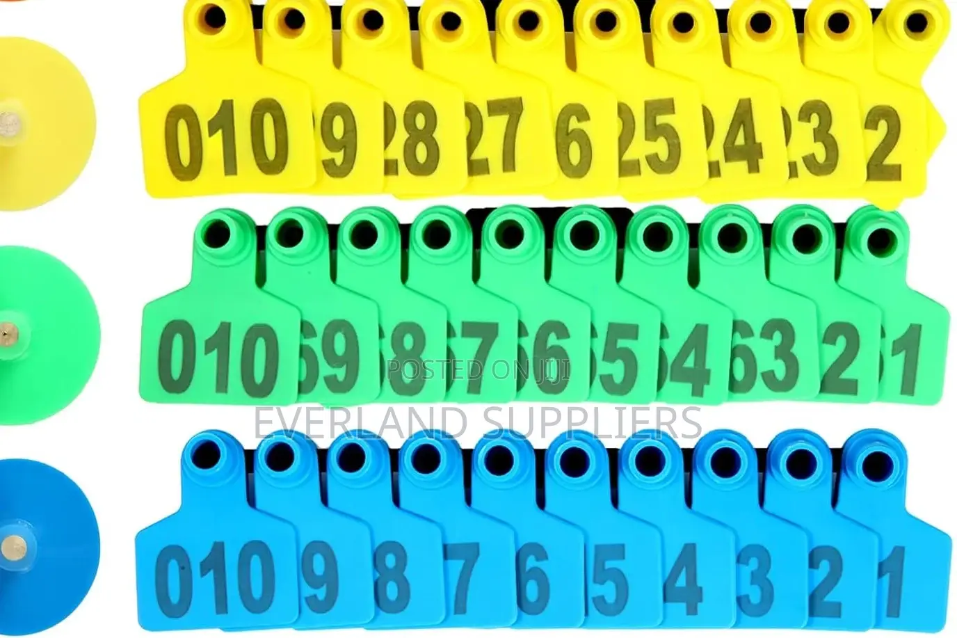 Ear Tags - Wholesale