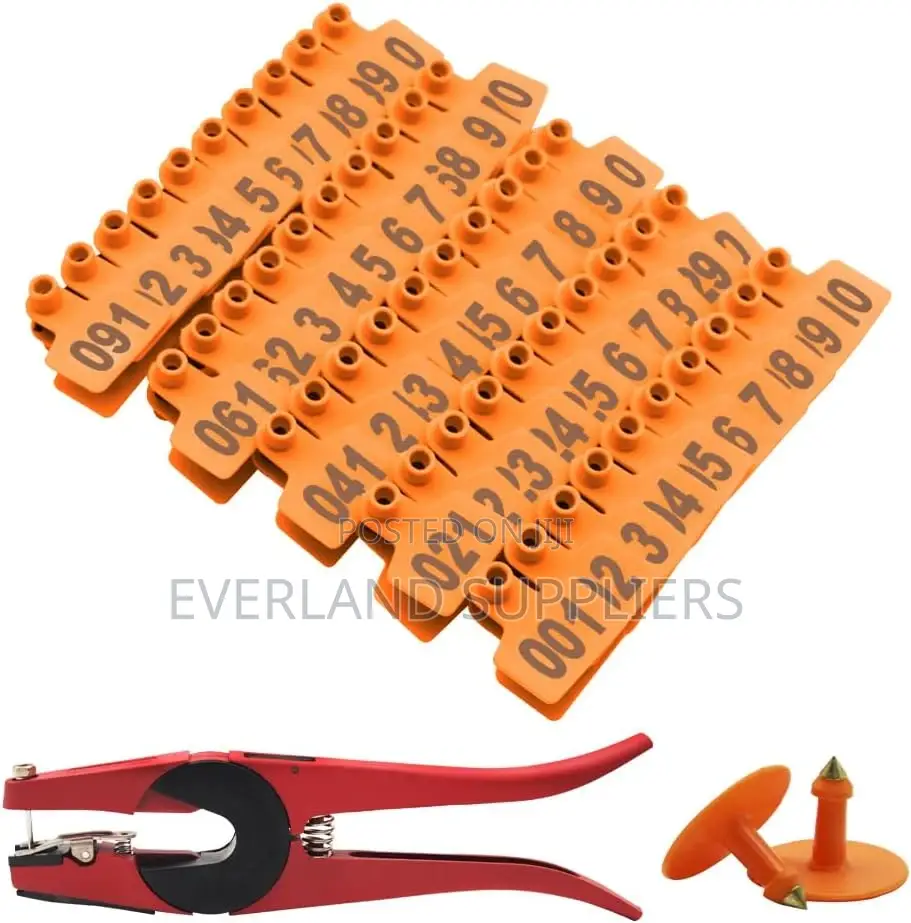 Ear Tags - Record