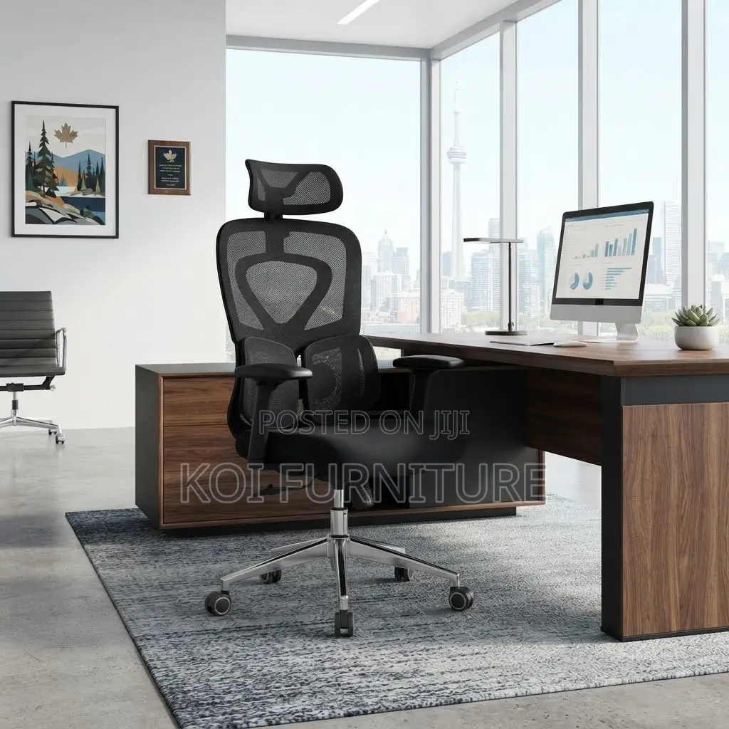 Office Chairs; Orthopedic Executive Chair With Dual Soine Support